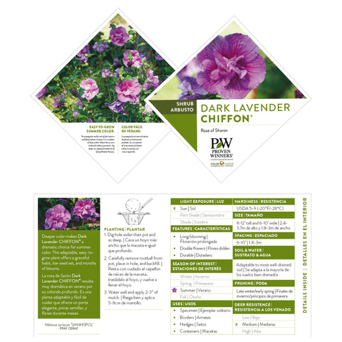 Proven Winners Dark Lavender Chiffon shrub used as privacy screen in landscape.