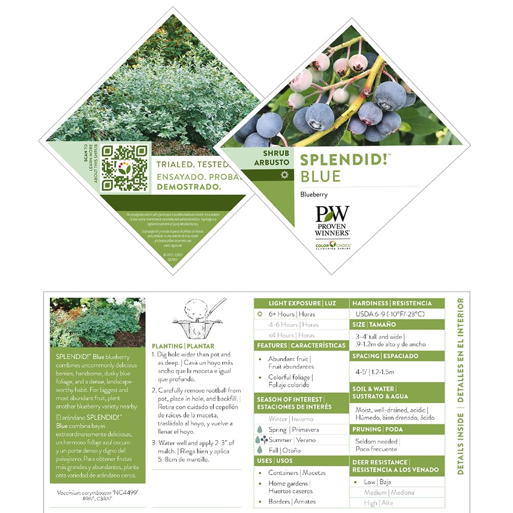 Grows in USDA zones 6-9