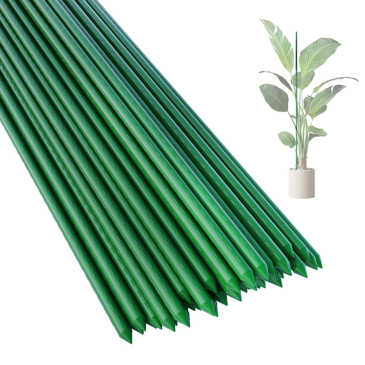 PROWORX 36-inch steel garden stake with green coating provides durable plant support.