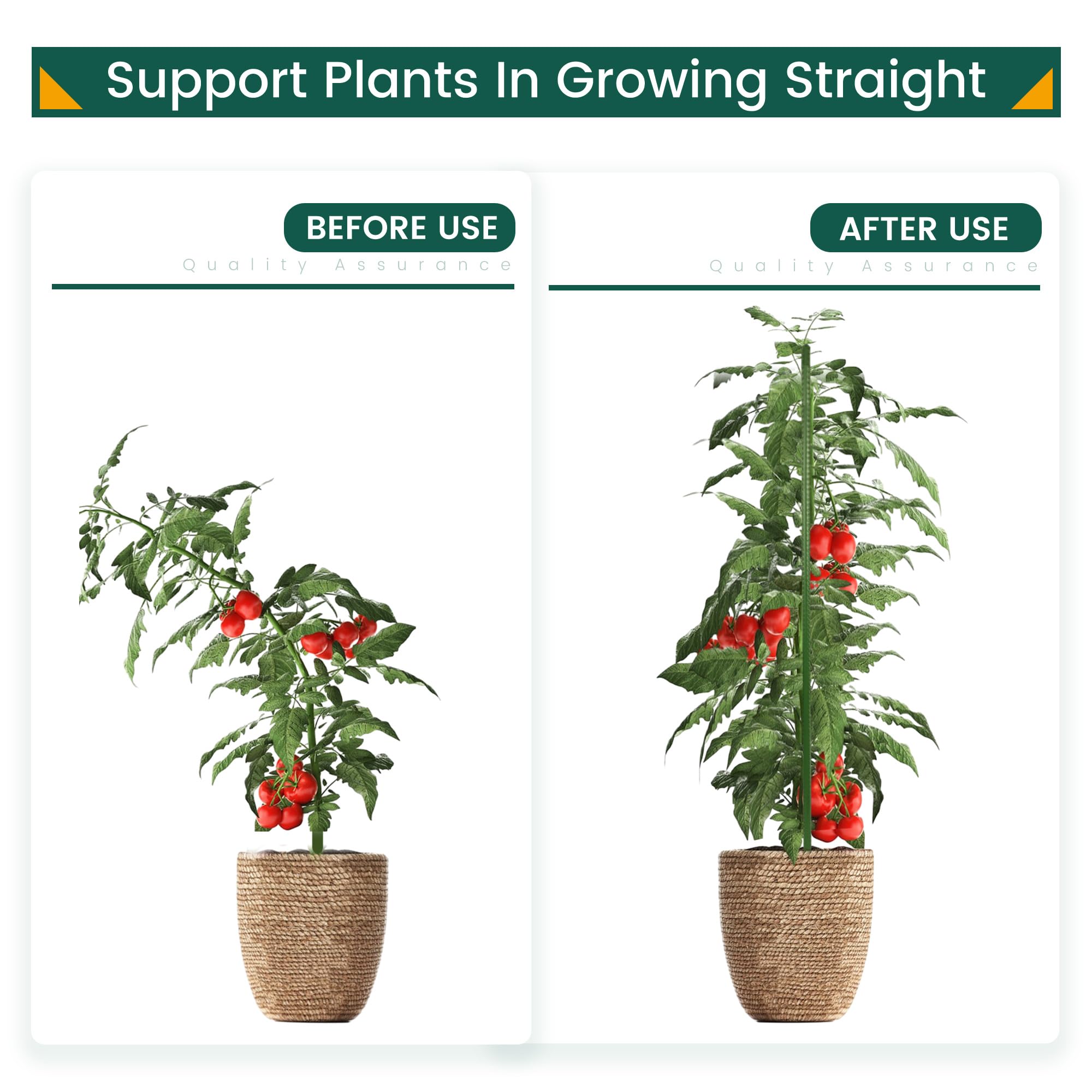 PROWORX cucumber climbing stake with leafy vines