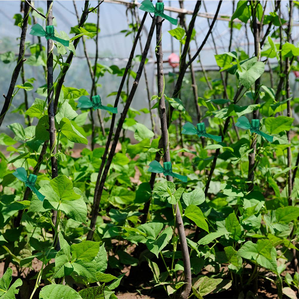 Prudiut all-purpose plant tape for grafting and stabilization indoors and outdoors.