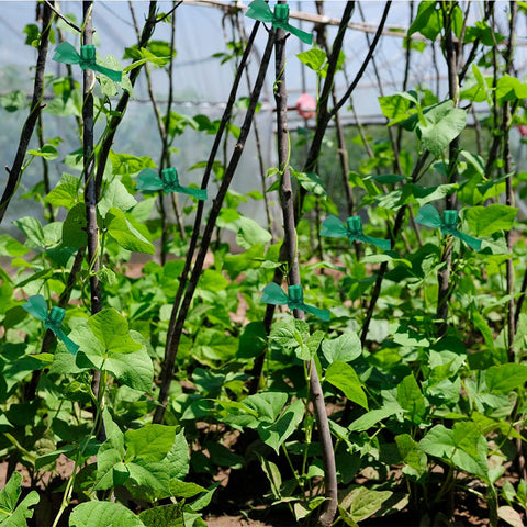 Prudiut all-purpose plant tape for grafting and stabilization indoors and outdoors.