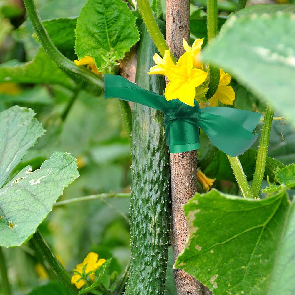 Prudiut branch-support tape guiding tree limbs with subtle visibility.