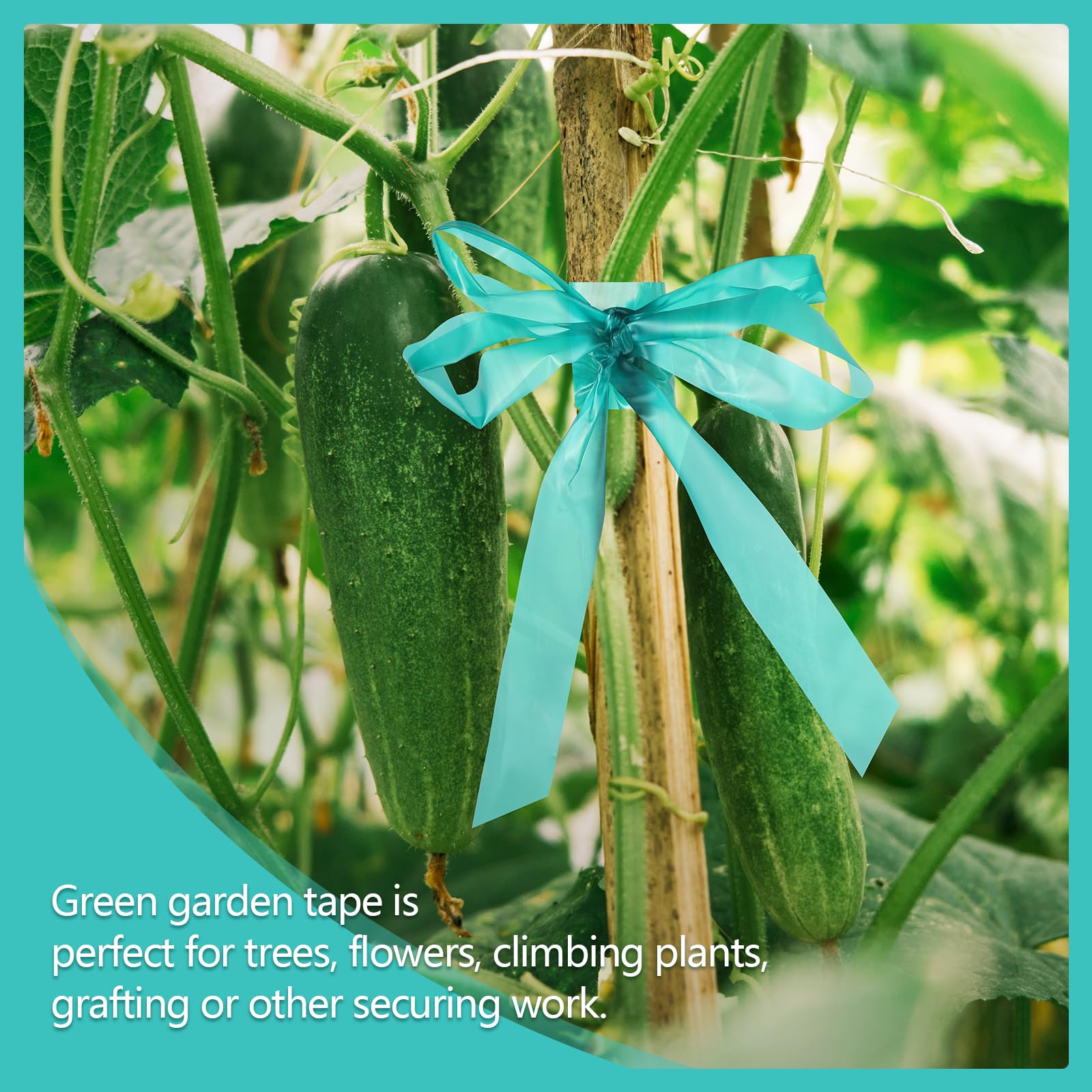 Prudiut windproof frostproof tape for plants outdoors