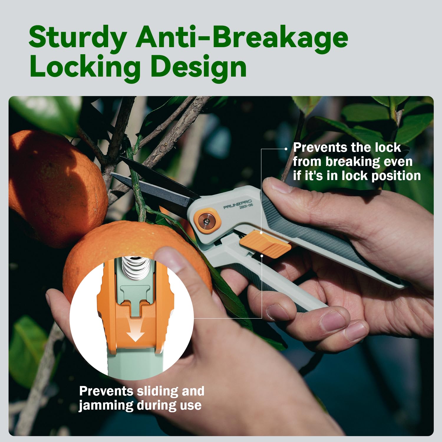 PrunePro bonsai clippers precision for delicate pruning on bonsai and small branches.