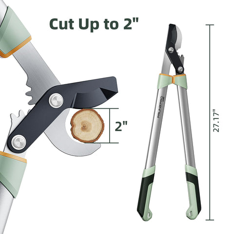 PrunePro loppers extended 28-inch reach for higher branch trimming.