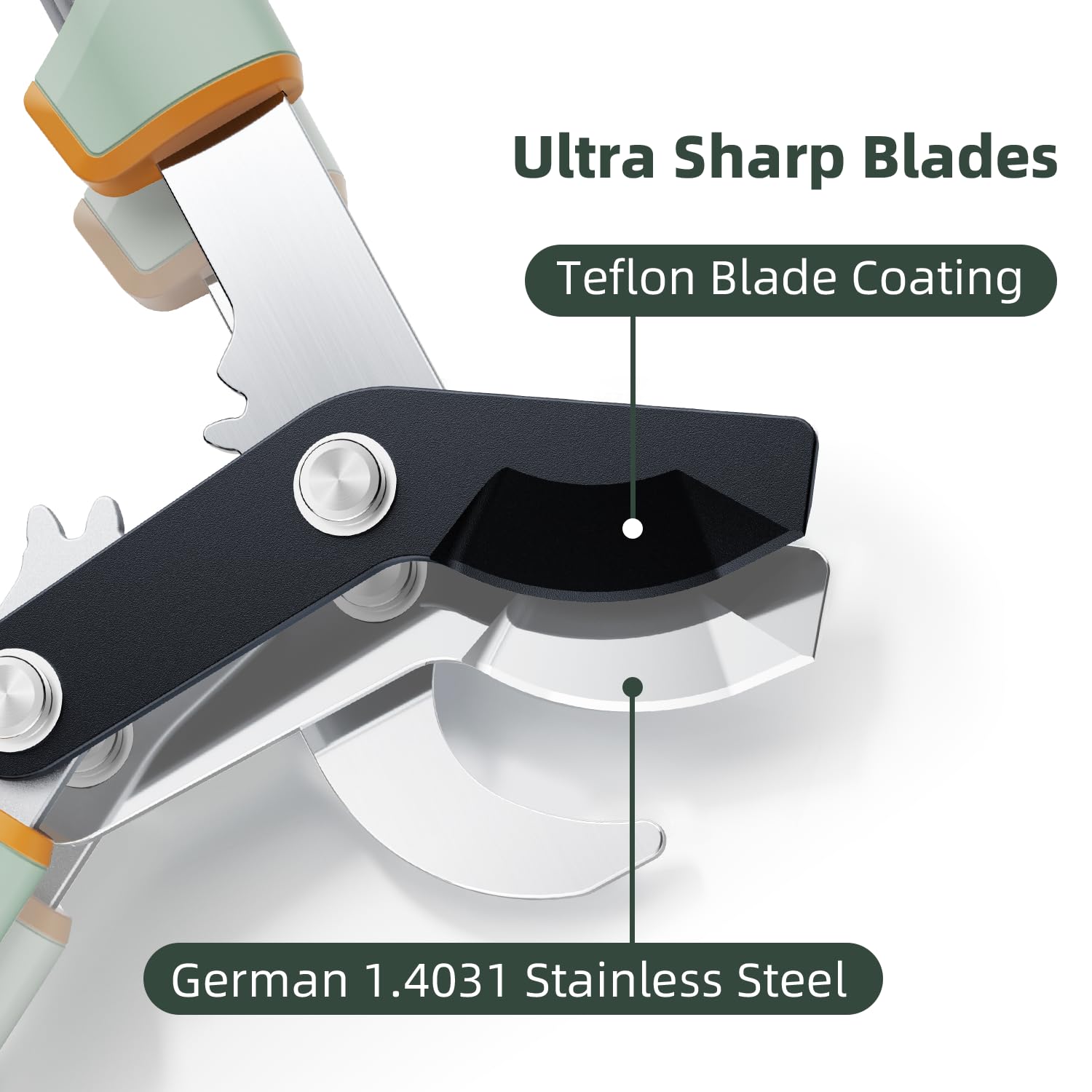 PrunePro loppers blade close-up showing Teflon coating for rust resistance.