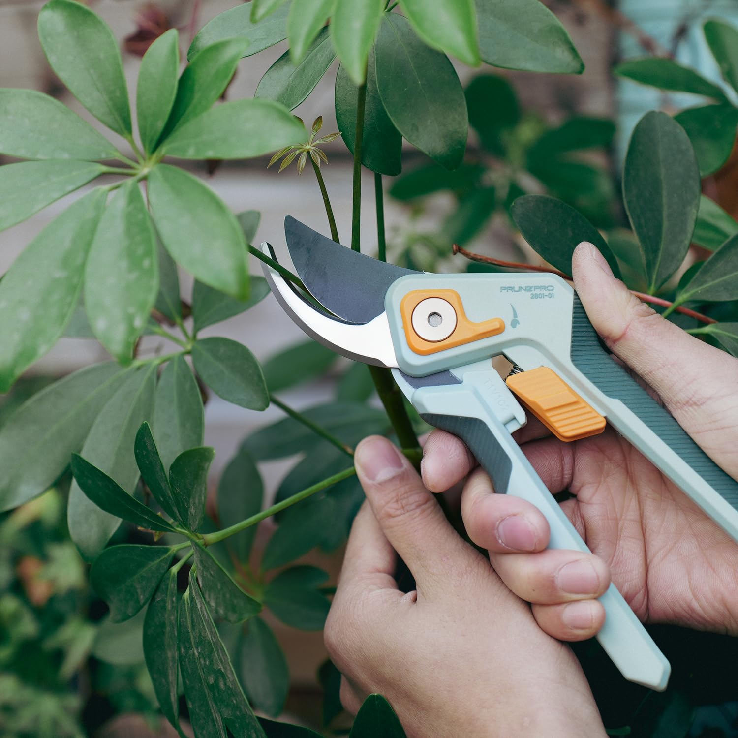 PrunePro rose pruning scene with two pruners in a lush garden