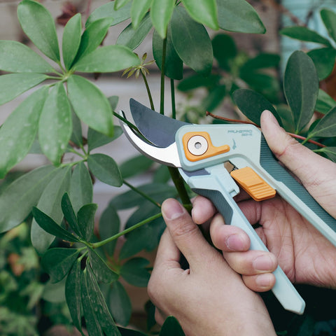 PrunePro rose pruning scene with two pruners in a lush garden