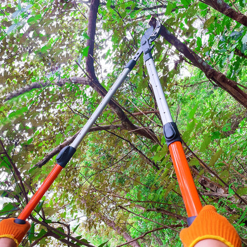 Prunrt ratcheting system enables controlled cuts on branches.