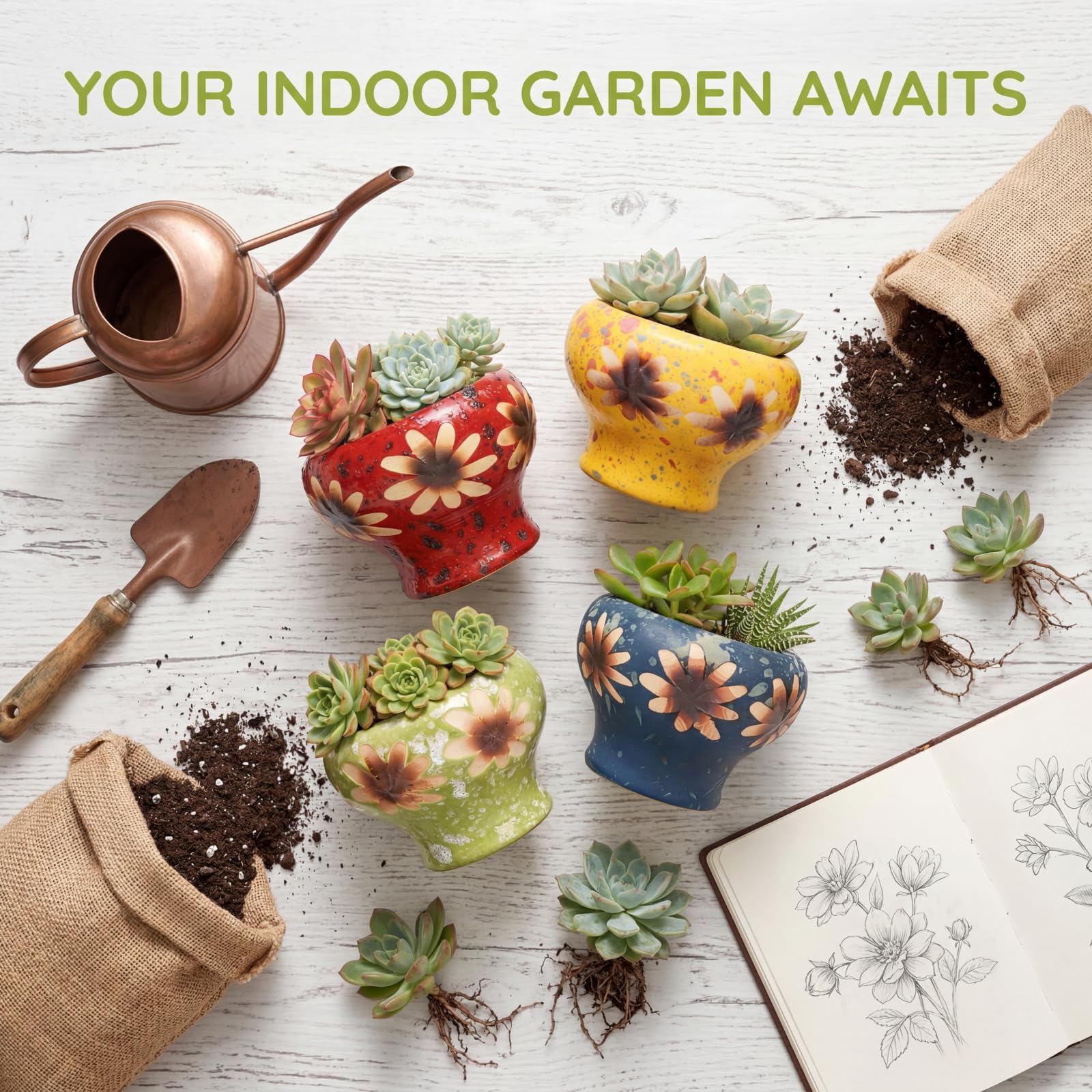Prygew 4-inch pots with drainage hole promote healthy root aeration