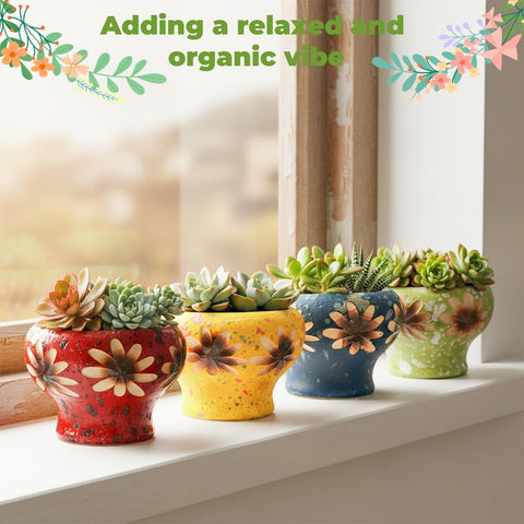 Prygew gift-ready packaging makes a thoughtful plant-loving present