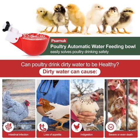 Psarnuk water cups dispense water smoothly in a coop for multiple species.