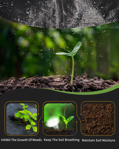 Pterying water-permeable landscape fabric supports irrigation while blocking weeds.