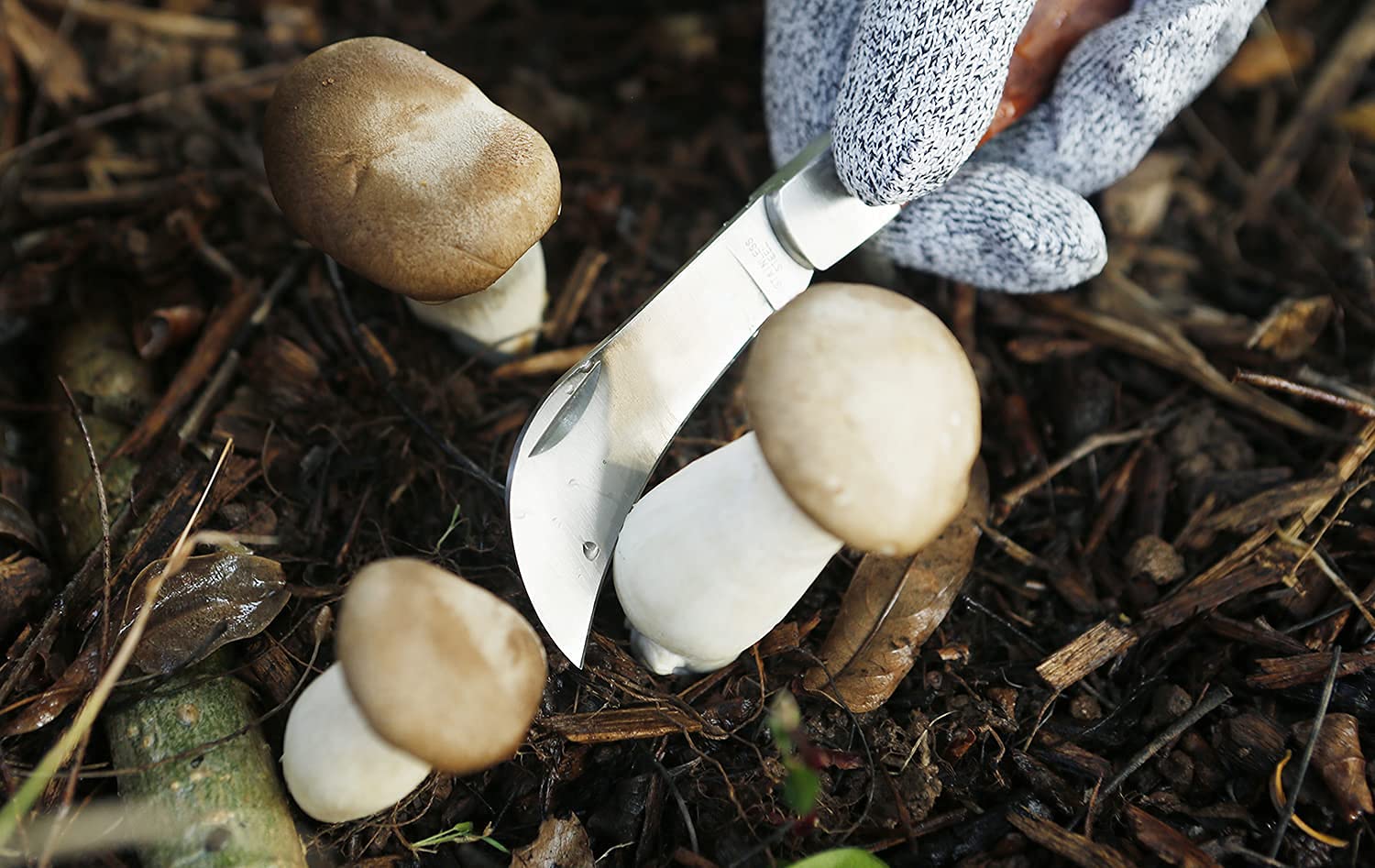 PUELDU foldable grafting knife fits in pocket
