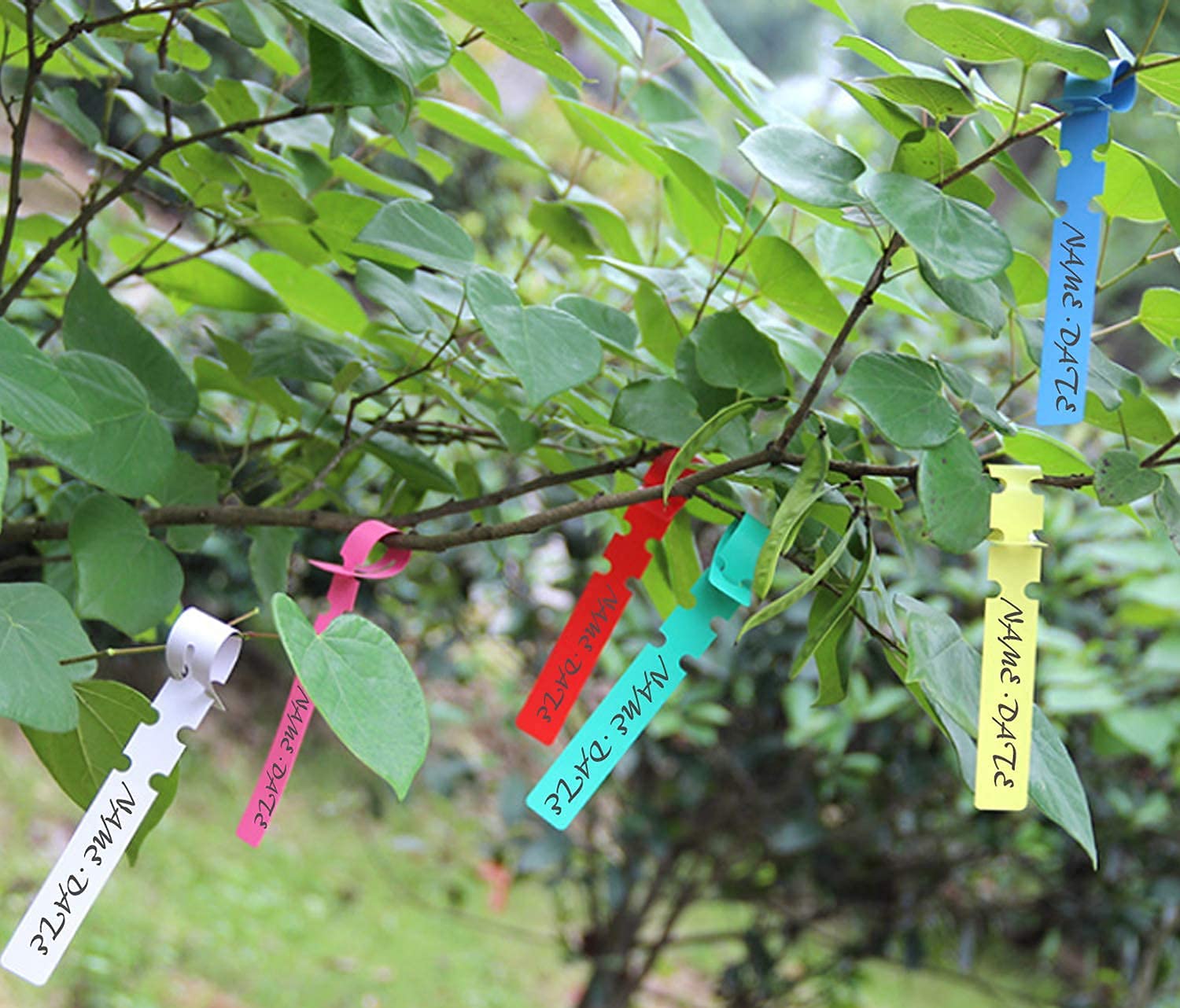 PUELDU pocket sheath keeps tools organized in greenhouse or orchard.