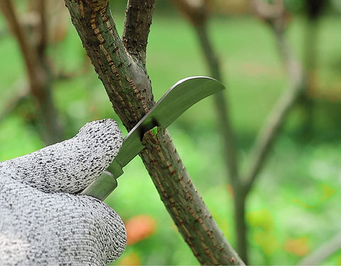 PUELDU grafting tapes pack protects grafts