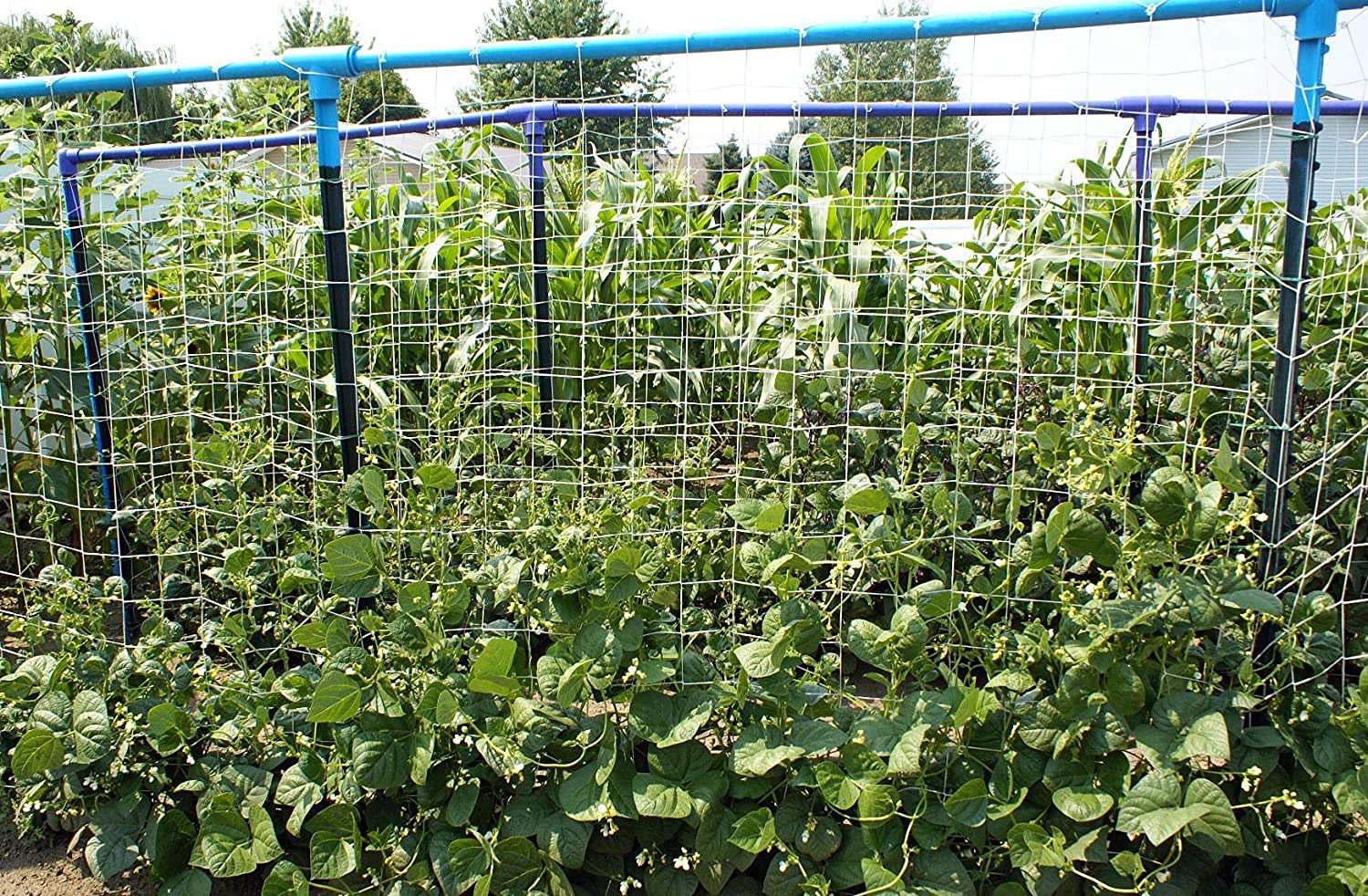 PullyBuy versatile netting for hydroponic gardens and vegetables