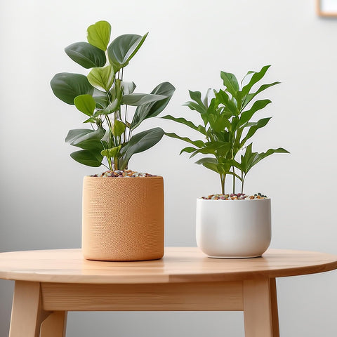 Pulovin pebbles as glass jar filler for modern crafts
