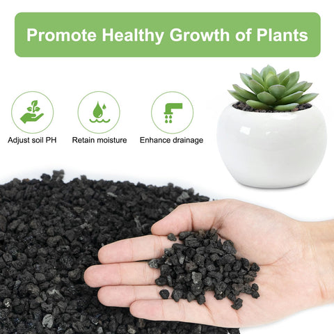 Pulovin dark decorative lava rocks as top-dressing for planters.