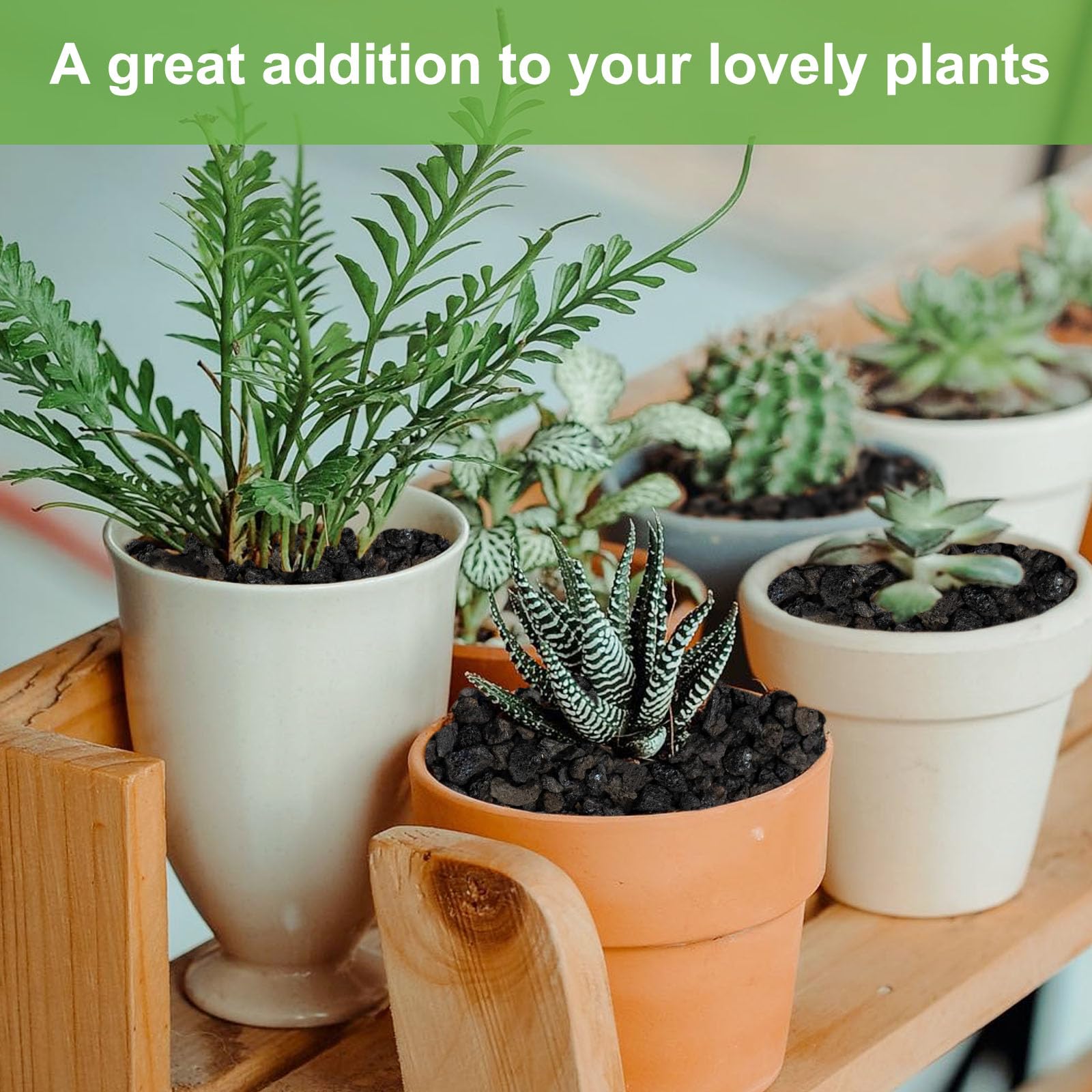 Eco-friendly reusable lava rocks for versatile garden projects with Pulovin.