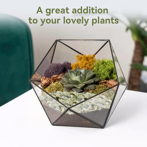 Pulovin jade pebbles as a drainage layer to protect soil.
