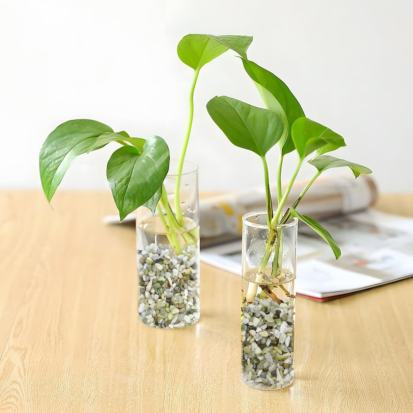 Pulovin jade pebbles in terrarium setup for miniature landscapes.