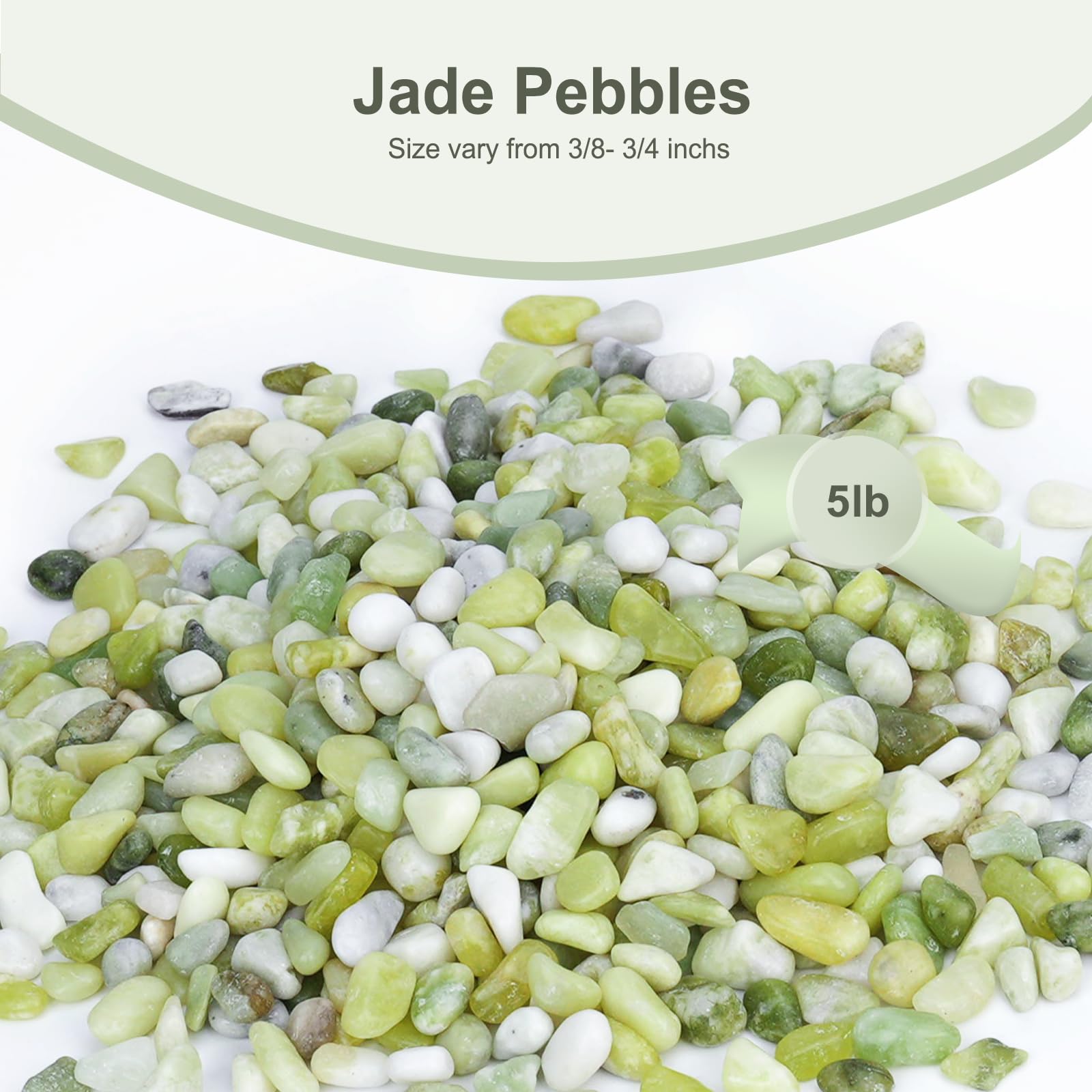 Pulovin Jade Pebbles vase fillers create polished accents for indoor arrangements.