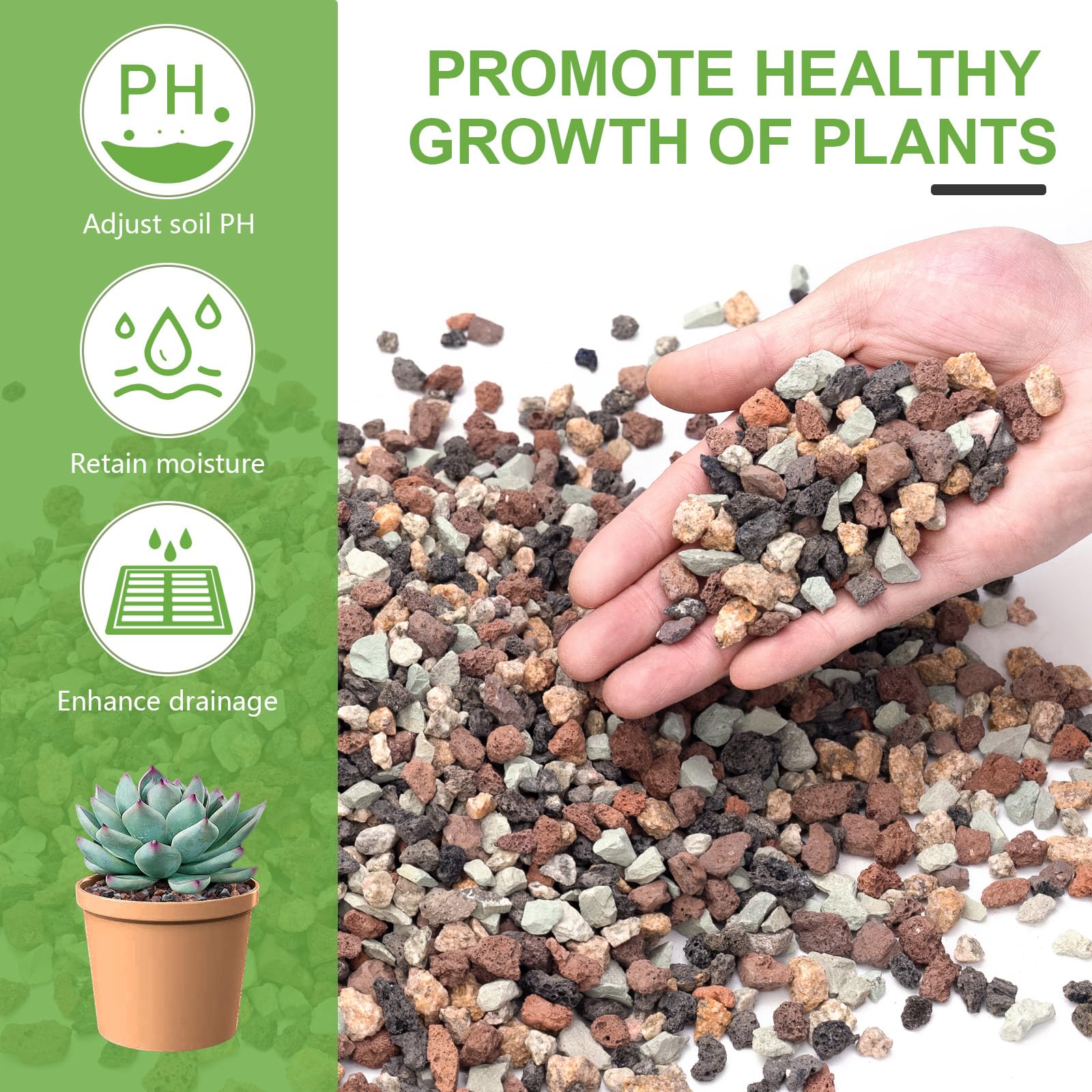Pulovin lava rocks bonsai top dressing enhances soil drainage and stability.