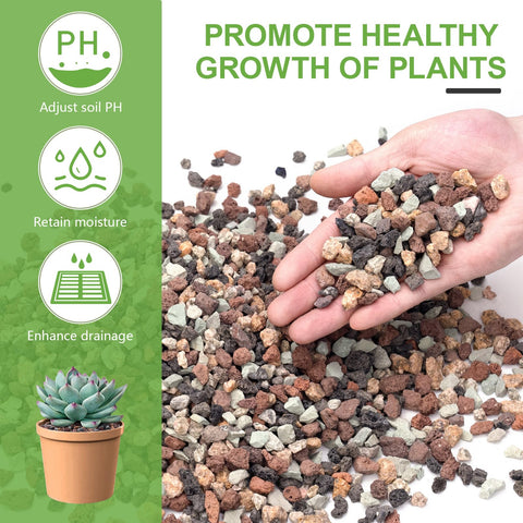 Pulovin lava rocks bonsai top dressing enhances soil drainage and stability.