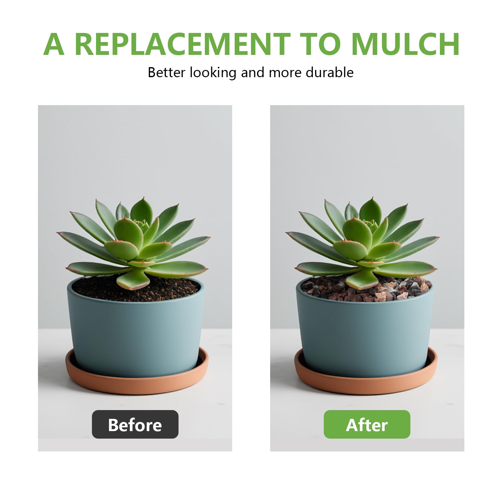 Pulovin lava rocks cacti pots drainage improves aeration and prevents waterlogging.