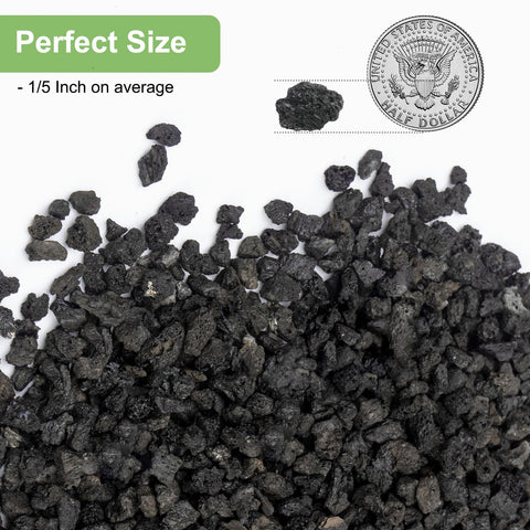 Pulovin lava rocks for succulents, cacti, and orchids in 1/5 inch size.