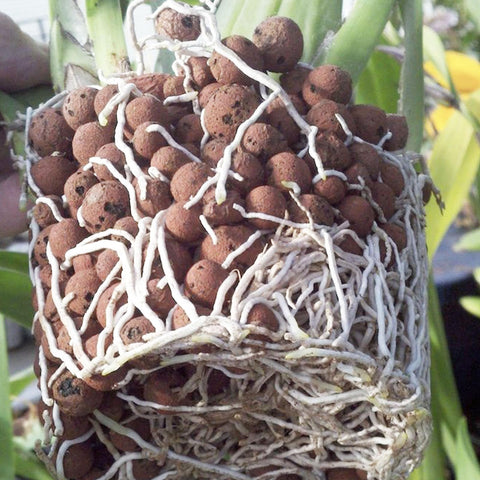 Pulovin LECA aquaponics-system supports water flow and plant growth.
