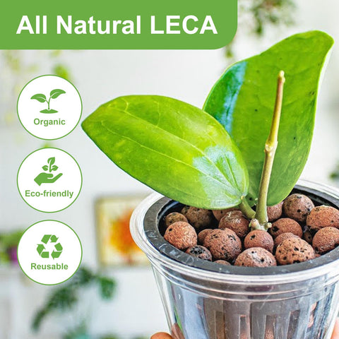 Pulovin LECA ready for hydroponics in a modern setup.