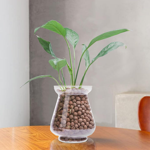 Pulovin LECA orchid-potting focuses on well-ventilated orchid roots.