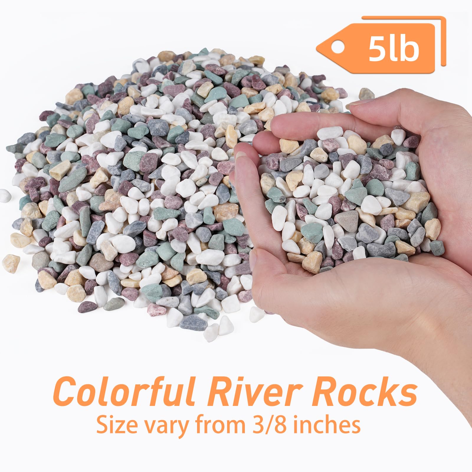 Pulovin pea gravel for succulents adds contrast and a moisture-friendly top layer.