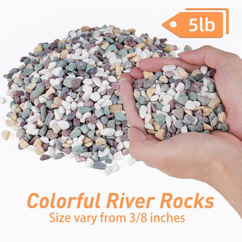 Pulovin pea gravel for succulents adds contrast and a moisture-friendly top layer.