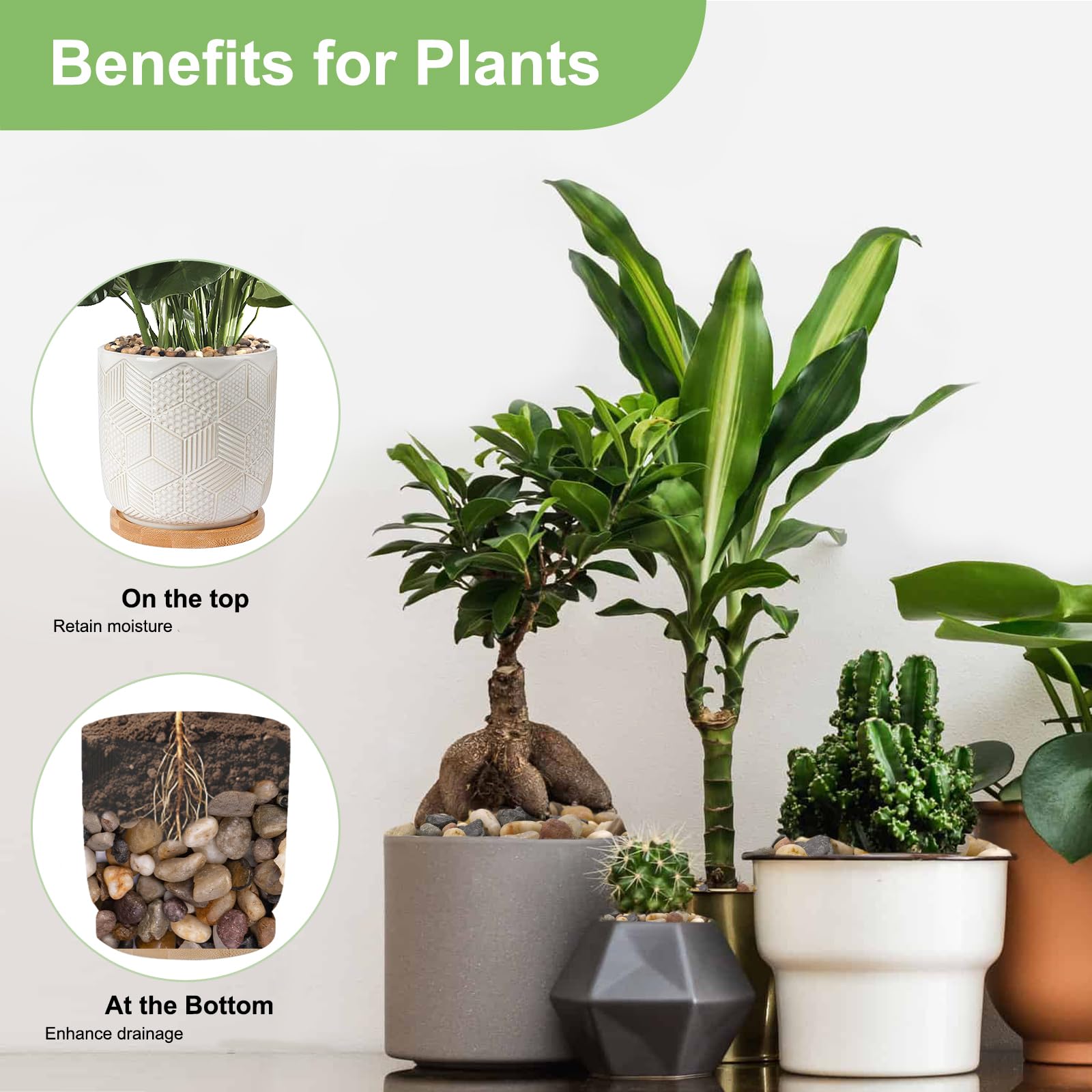 Pulovin small pebbles suit terrarium displays, offering stable bases and decorative contrast