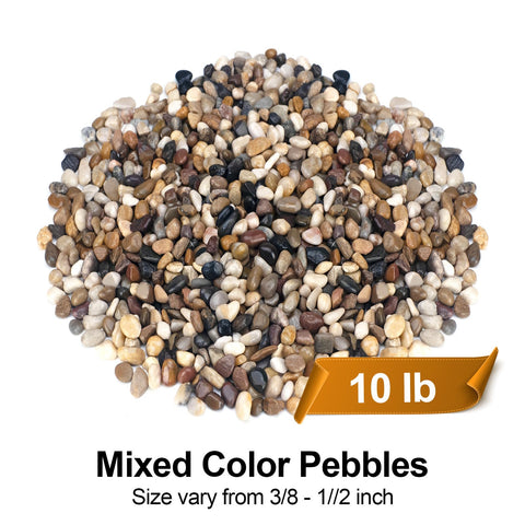 Pulovin succulent arrangement pebbles create lush, tidy accents for compact spaces.
