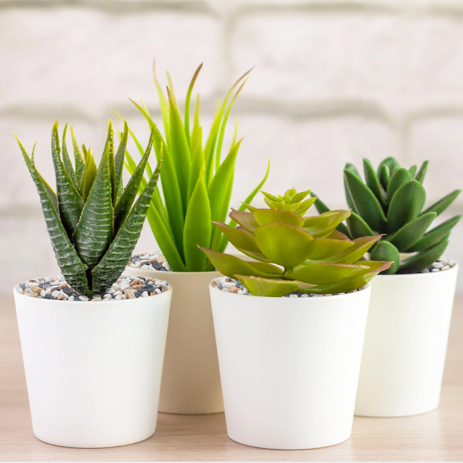 Pulovin succulent display rocks enhancing plant visuals in a shallow planter.