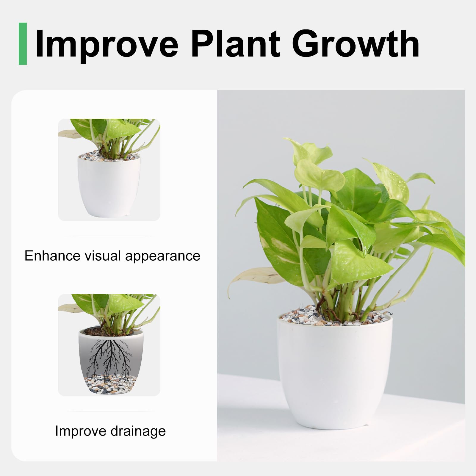 Pulovin terrarium decor rocks in a glass container for lush micro landscapes.