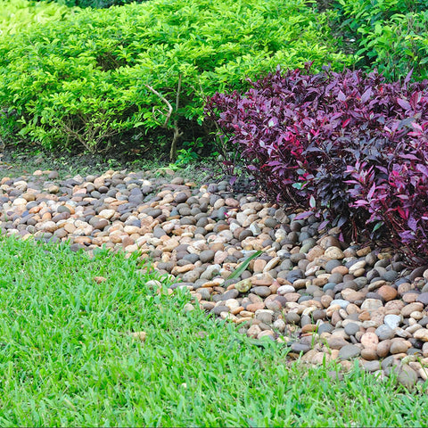 Pulovin terrarium and fairy garden pebbles for versatile styling