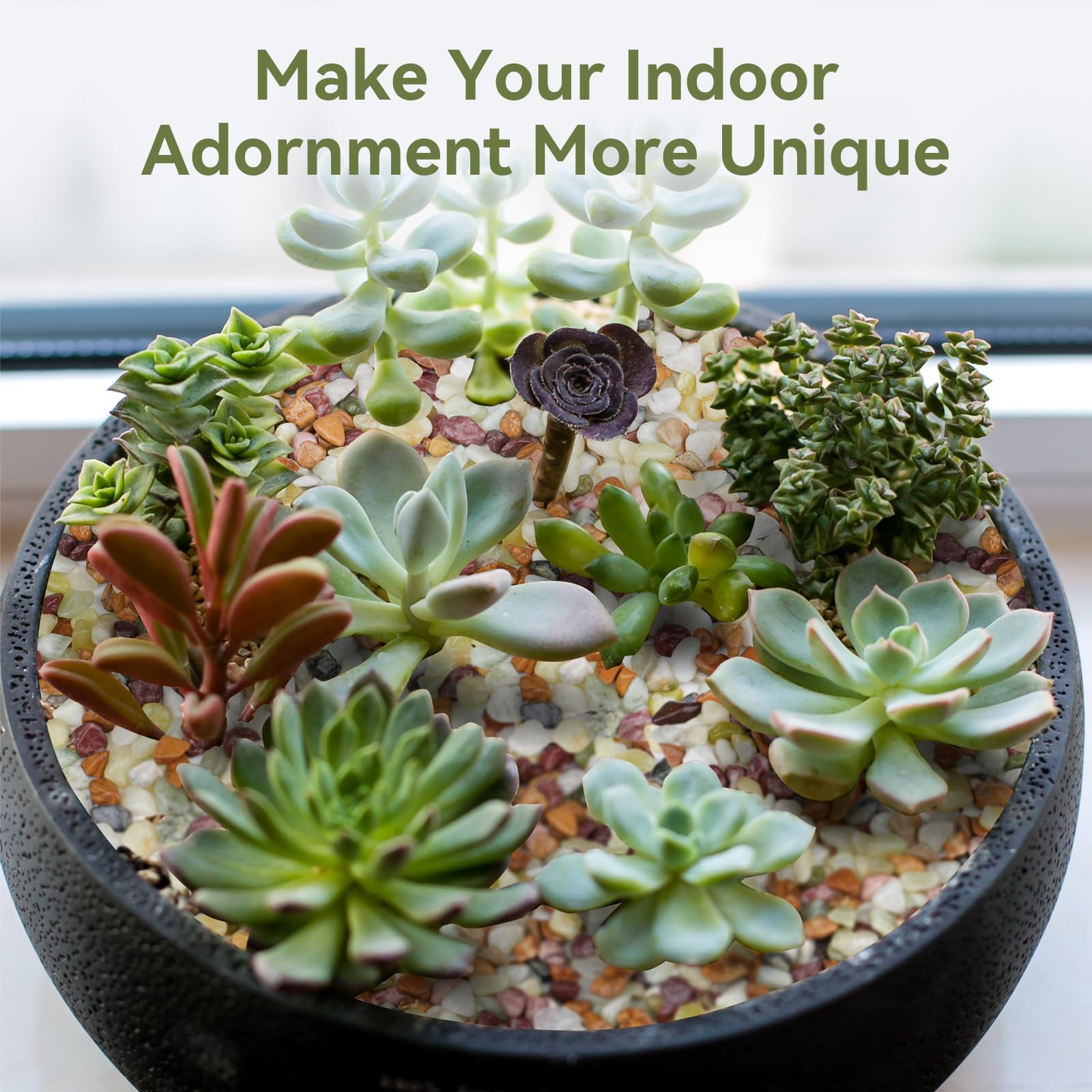 Pulovin terrarium-rocks pebbles for lush miniature landscapes.