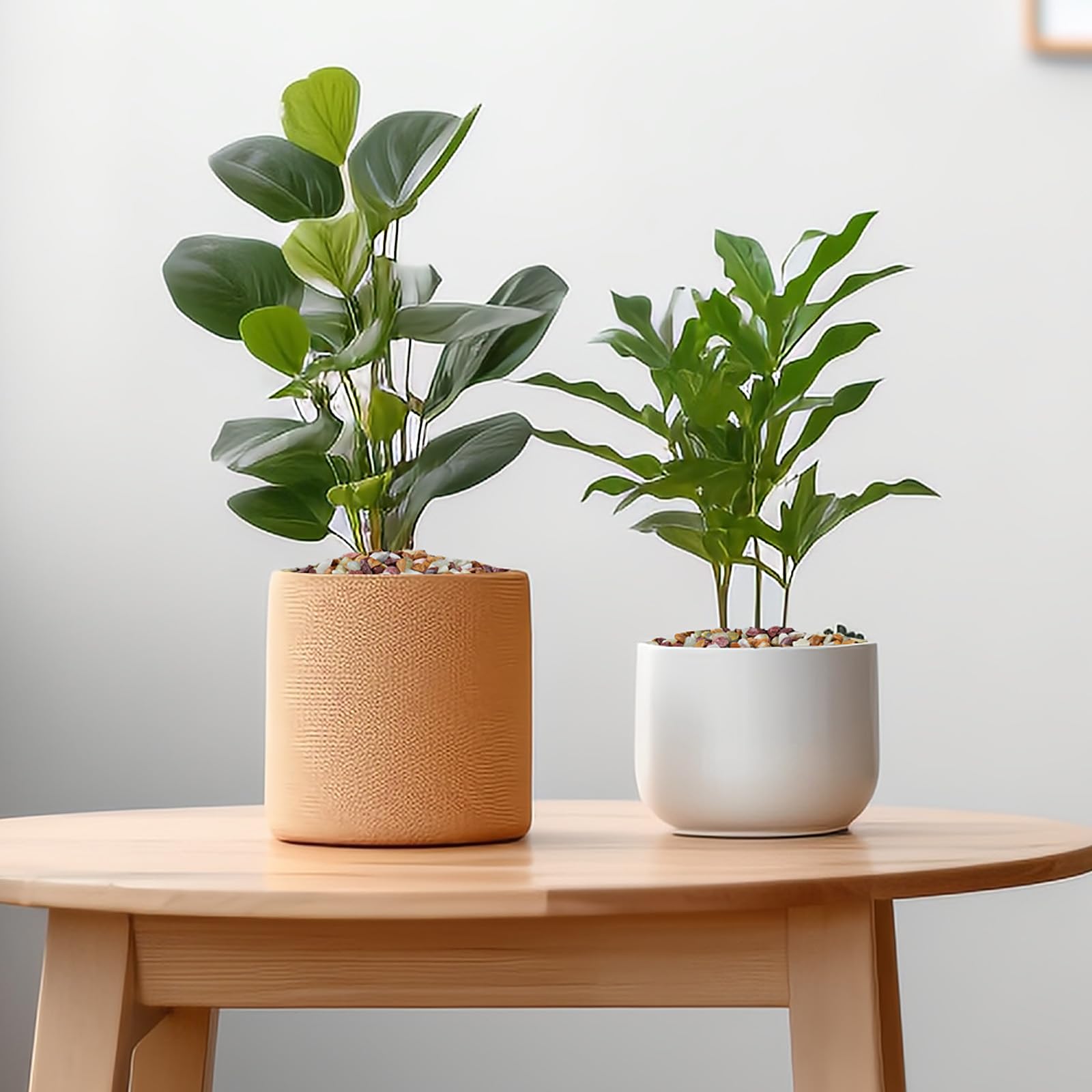 Pulovin vase-filler pebbles for compact, polished centerpieces.