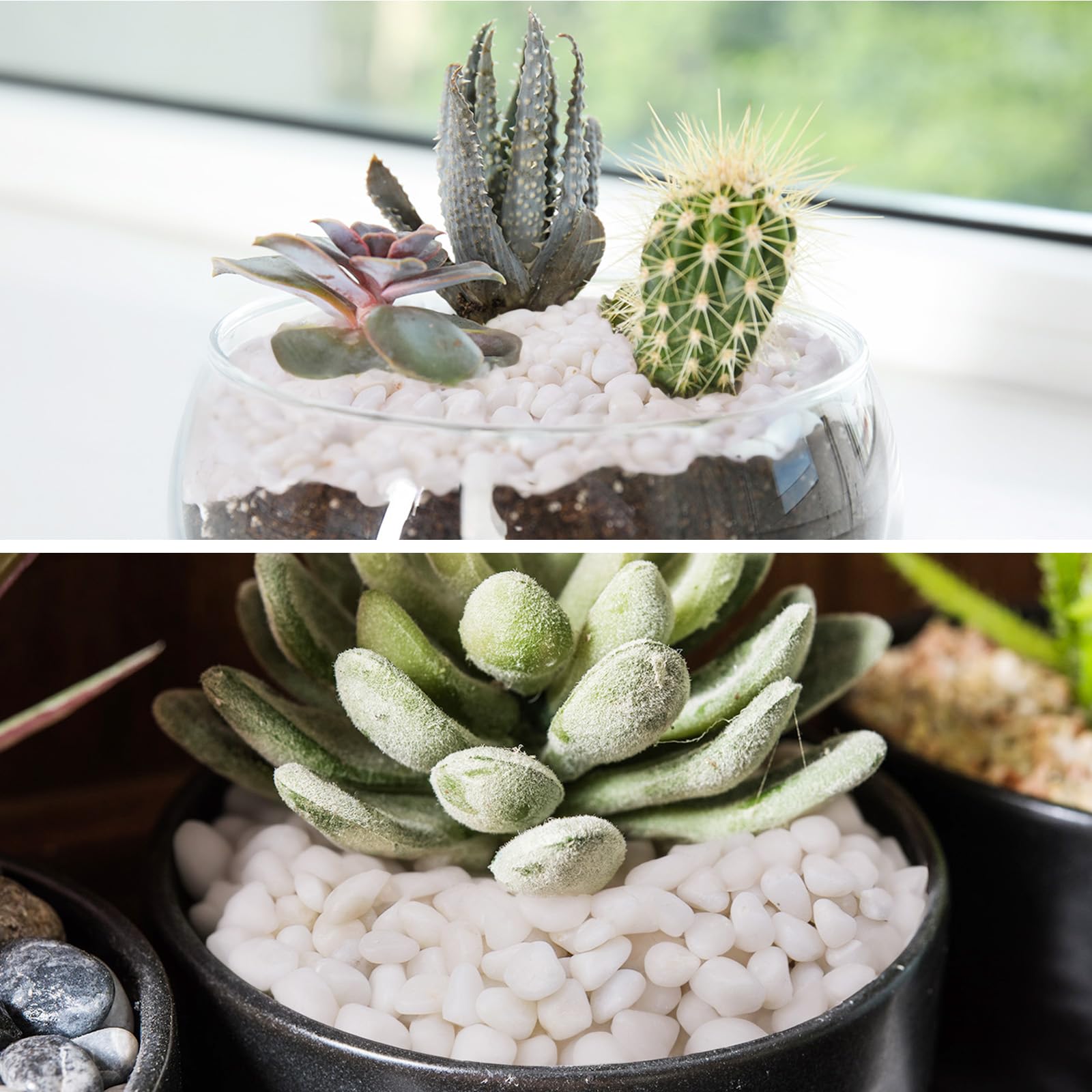 Pulovin white pebbles vase display delivers effortless styling in jars