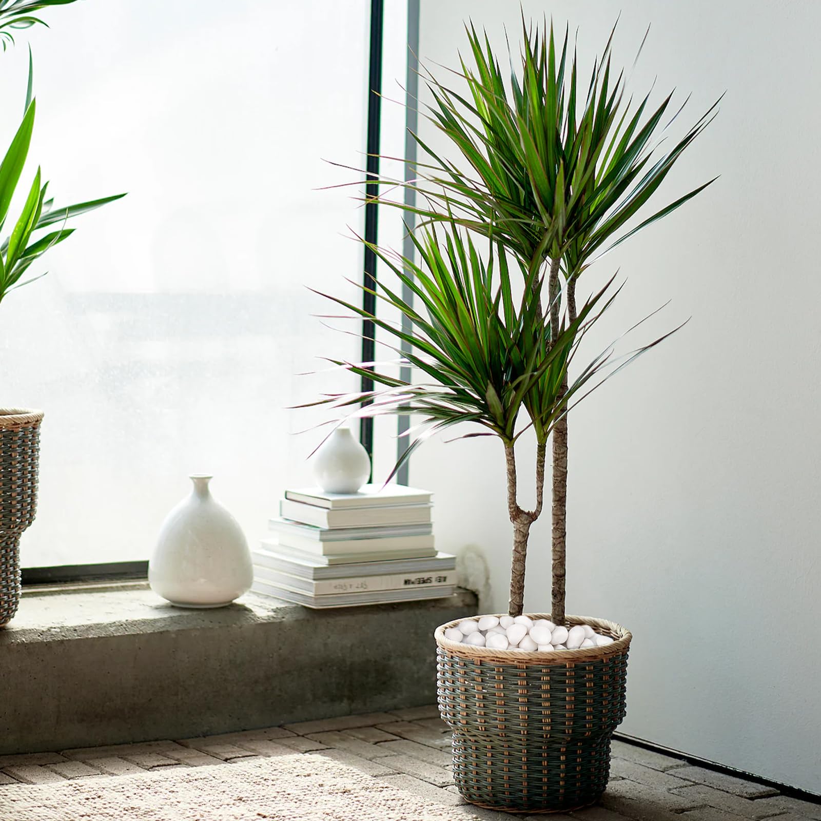 Pulovin white rocks for craft projects and decorative vases with a polished look.