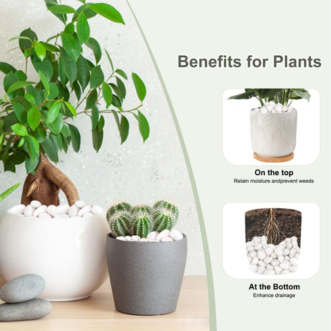 Pulovin white river rocks provide drainage and soil protection in pots and planters.