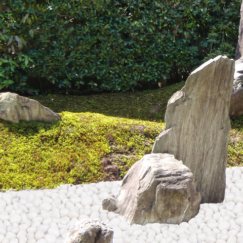 Pulovin white rocks in garden beds brighten space with low-maintenance decor.