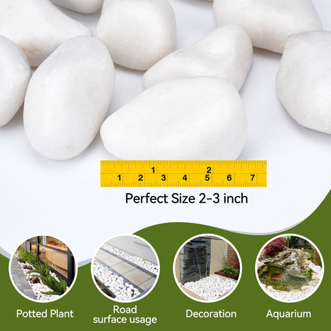 Pulovin white rocks for walkways provide clean lines and durable footing.