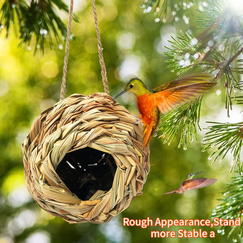 Puninoto large-wren-finch bird house comes as a 3-pack for multiple spots.